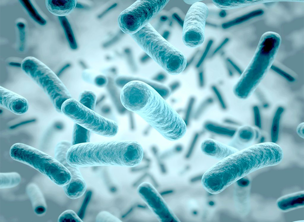 歯周病の原因は？