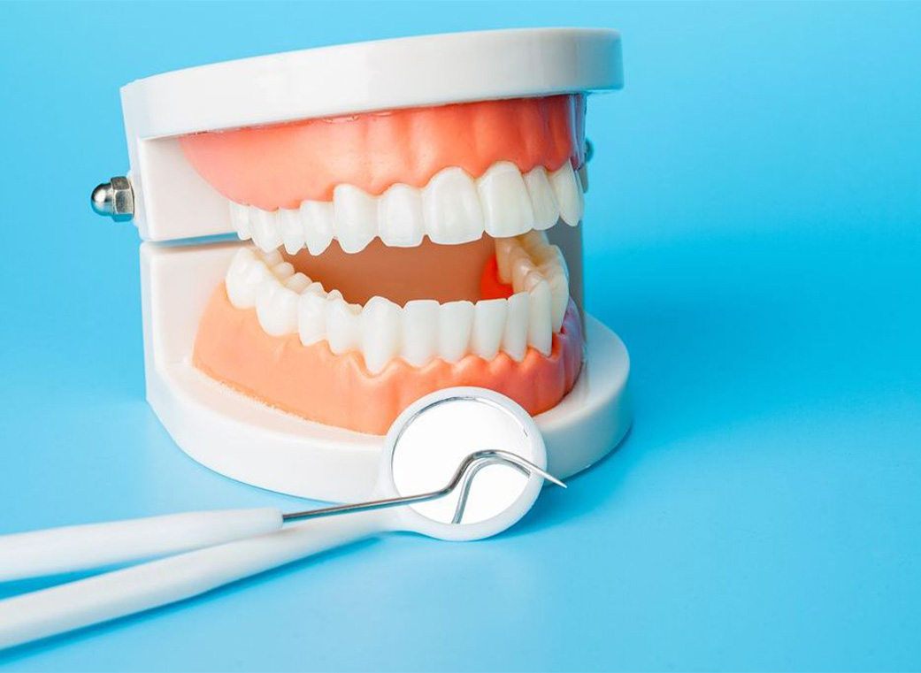 定期検診｜前橋市の歯医者【リップル歯科・矯正歯科クリニック】