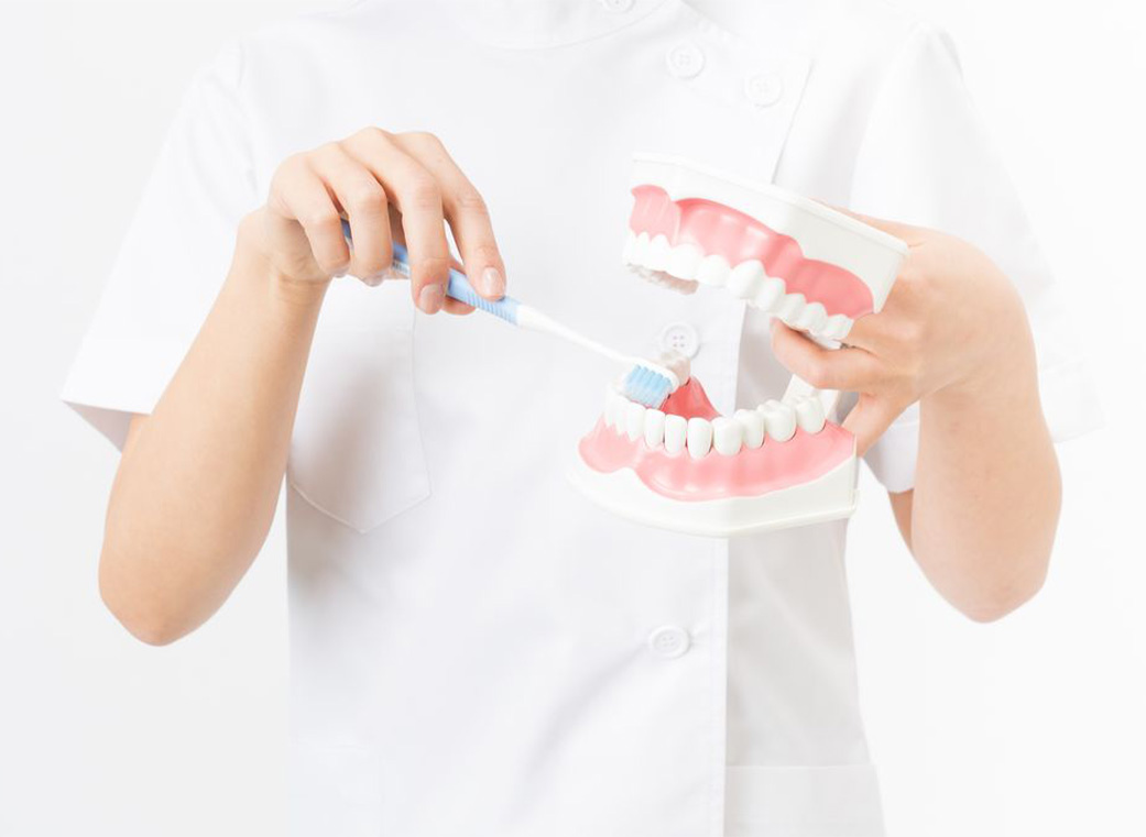 ブラッシング指導