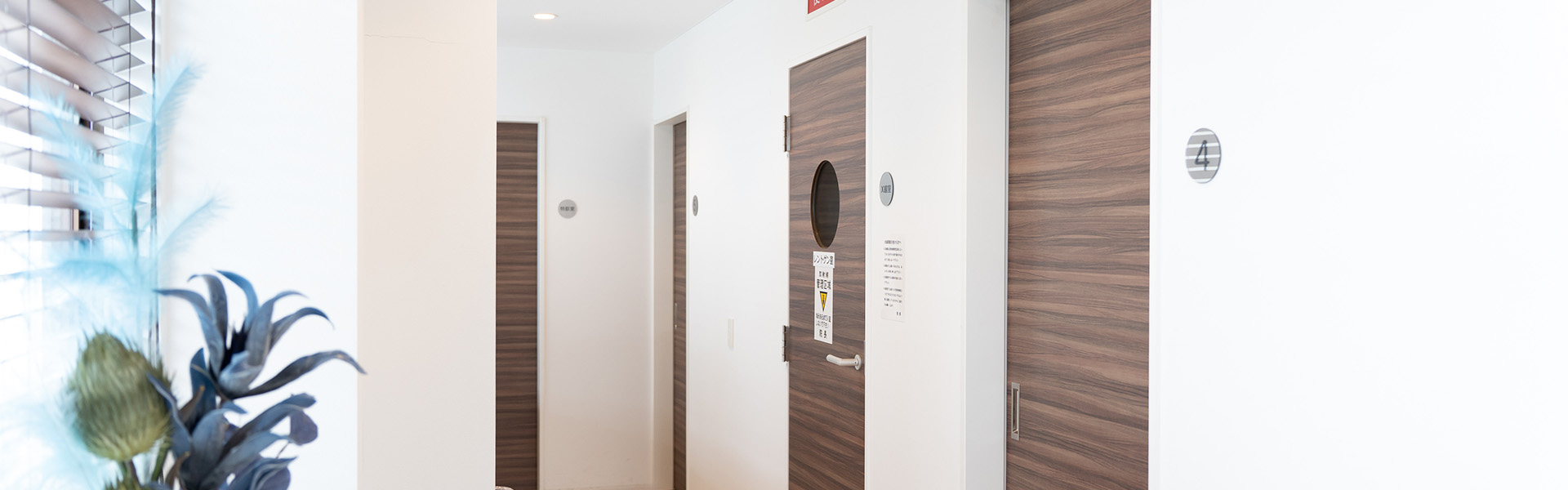 診療案内｜前橋市関根町の歯医者・歯科医院なら【リップル歯科・矯正歯科クリニック】